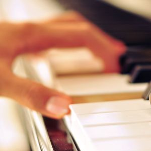 苍井空操逼视频
