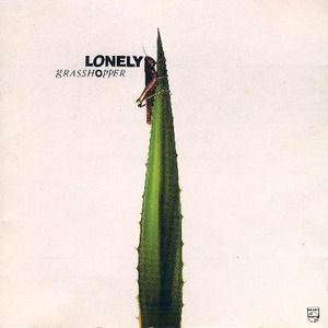 苍井空操逼视频
